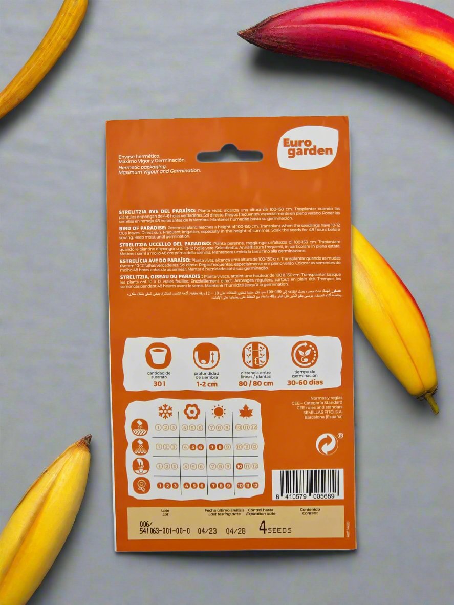 Strelitzia Reginae Bird of Paradise - Exotic Tropical House & Terrace Plant, Ideal for Indoor Growth or Bonsai  in  
 Deevan’s Nobel House Decor and Gardening Seeds with Services