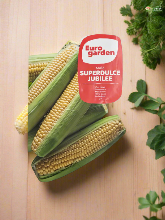 Sweet Corn Seed By (Euro Garden)